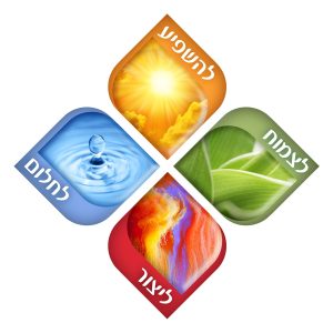 לוגו ללא טקסט