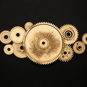 pexels-miguel-á-padriñán-3785929