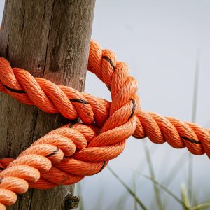 pexels-photo-1139748