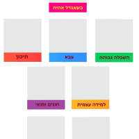 הגדרת אסטרטגיות למימוש חזון מקצועי מוגדר