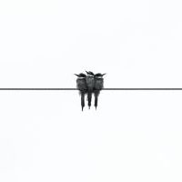 טריאדה חינוכית