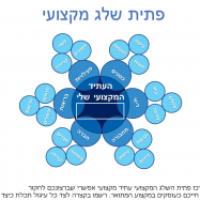 פתית שלג מקצועי