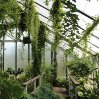 תמונות לאתר מו׳׳פ