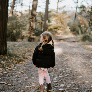 תמונות לאתר מו׳׳פ